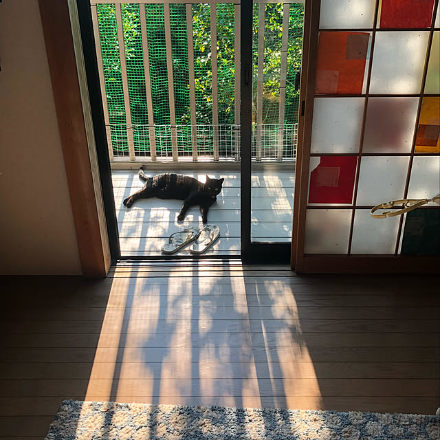 jijiさんの実例写真