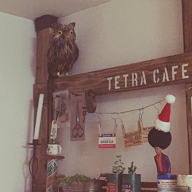 tetra163さんの実例写真