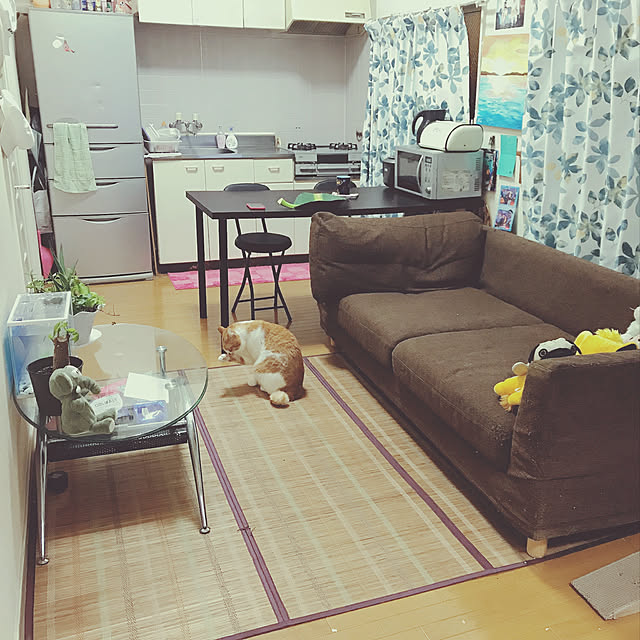 Harukiさんの実例写真