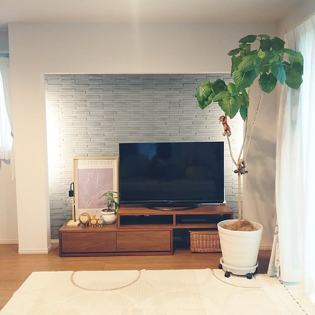 tan5さんの実例写真