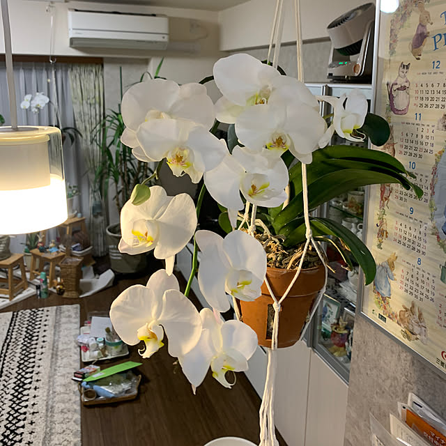 Aqettyさんの部屋
