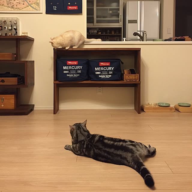 y.k.0123さんの実例写真