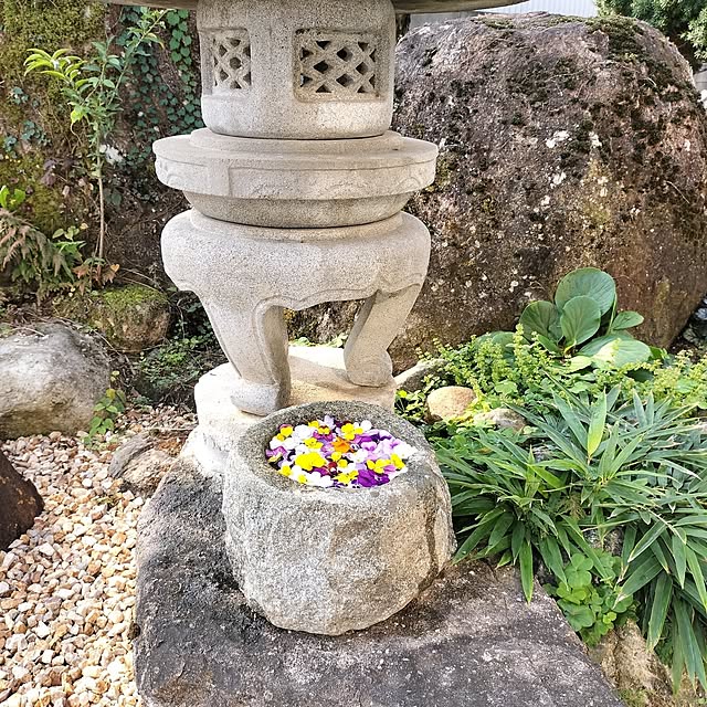 sumimarumiさんの部屋