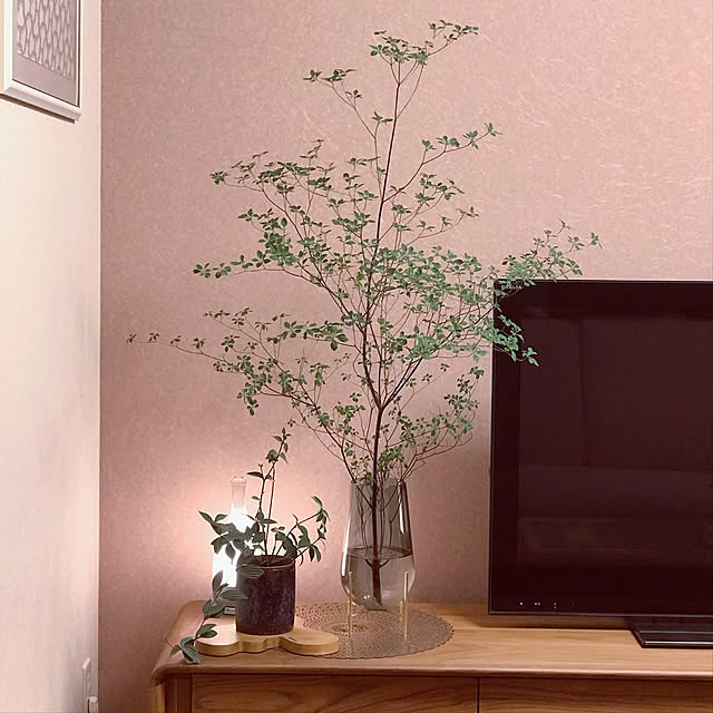 Saraさんの実例写真