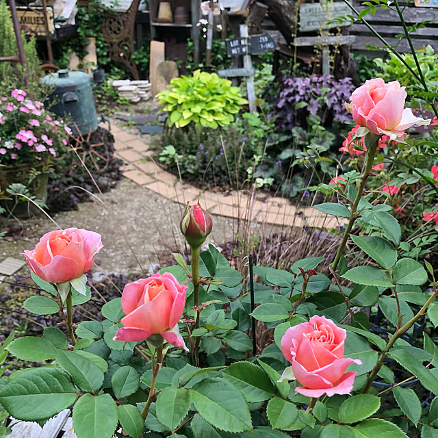 bibianさんの実例写真