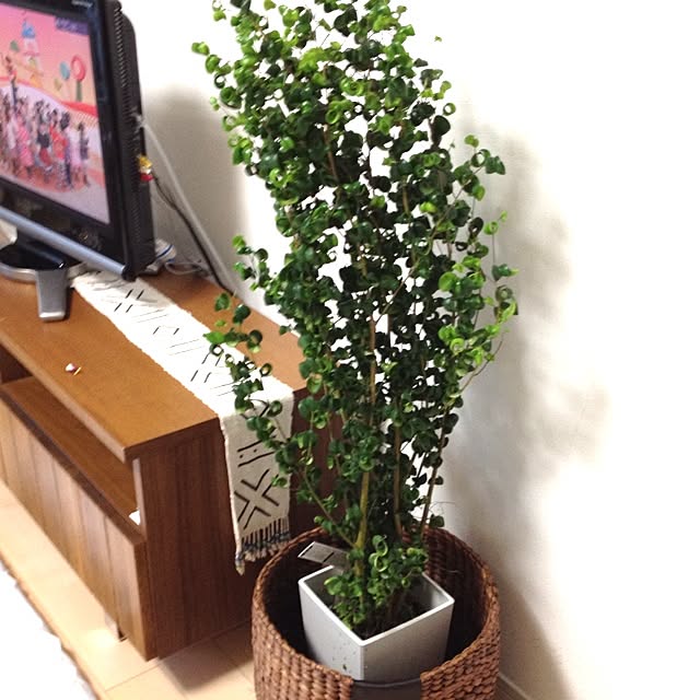 kinoさんの実例写真