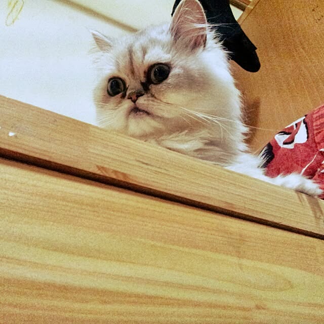 hiroko5410さんの実例写真