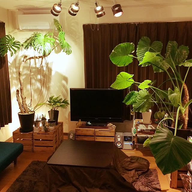 Taketoさんの実例写真