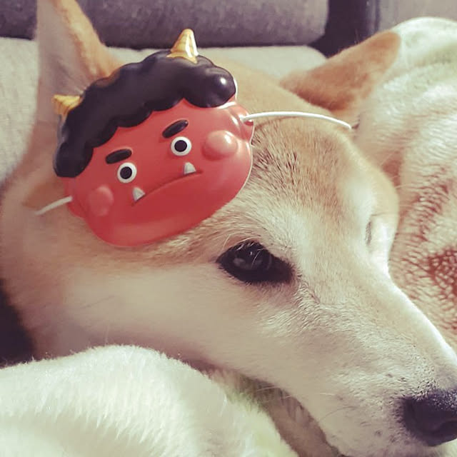 Hanaさんの実例写真