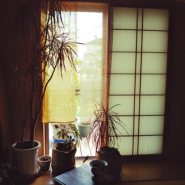 Yanagisawatomokoさんの実例写真