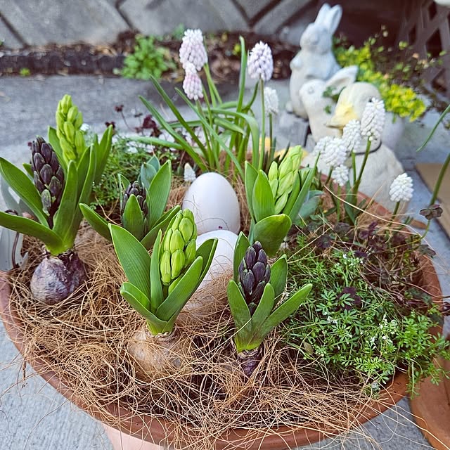 mocomocoさんの部屋