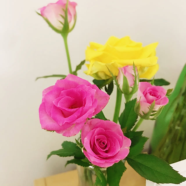 dojiko108さんの実例写真