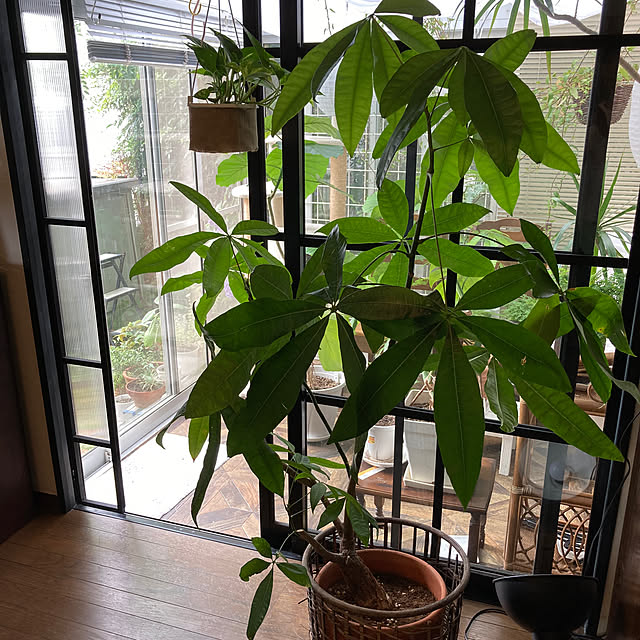justyさんの部屋