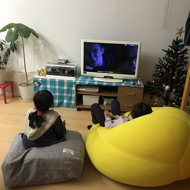Tomoさんの実例写真