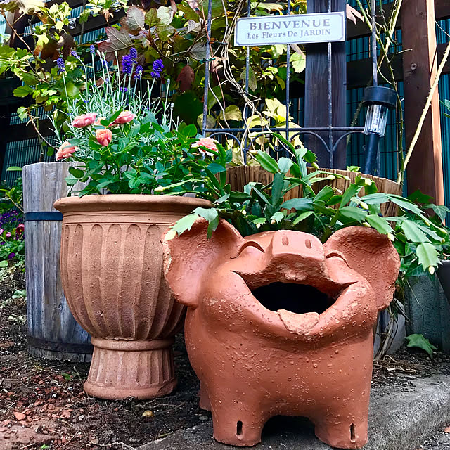 butachanさんの実例写真