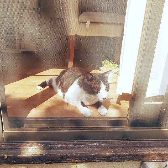 oseroさんの実例写真