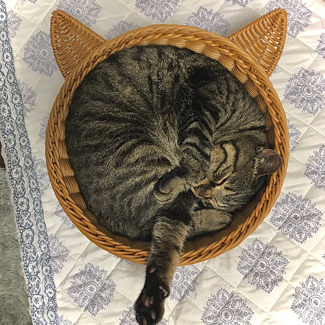 ayataroさんの実例写真