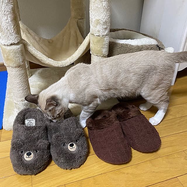 konanaka08さんの実例写真