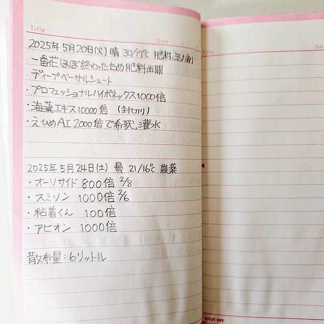merirynさんの実例写真