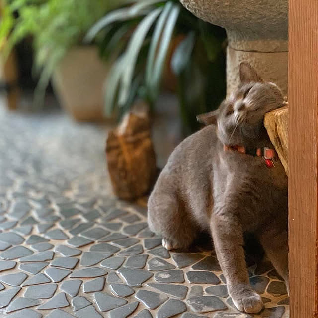KAZさんの実例写真