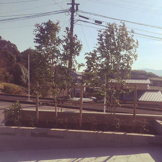 実例写真