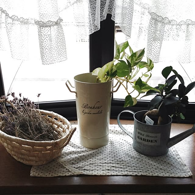 junjunさんの実例写真