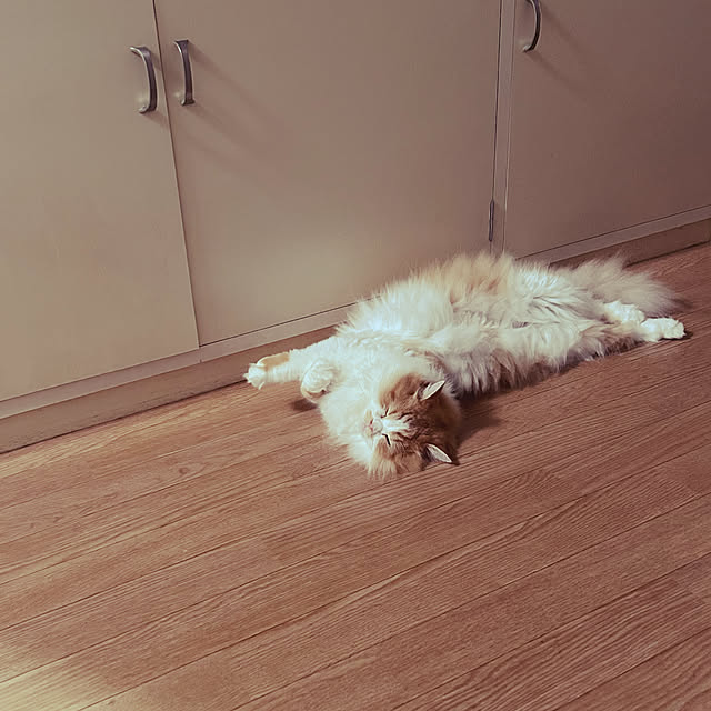 junさんの部屋