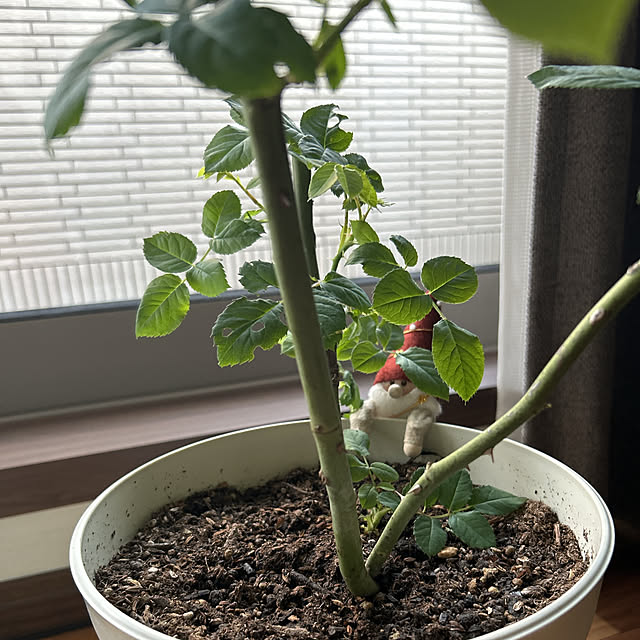 yunyumさんの部屋
