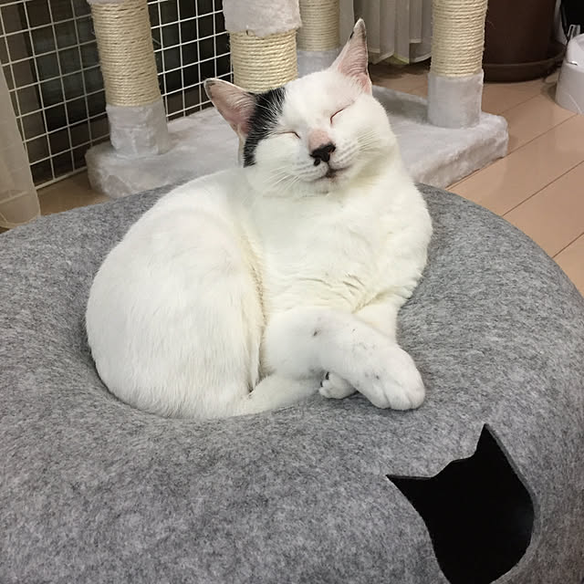 pansanさんの実例写真