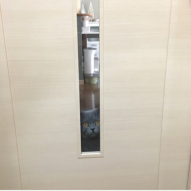 kittyさんの実例写真
