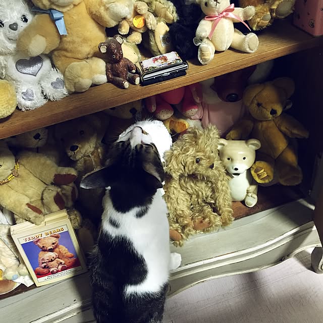 yuchiさんの実例写真