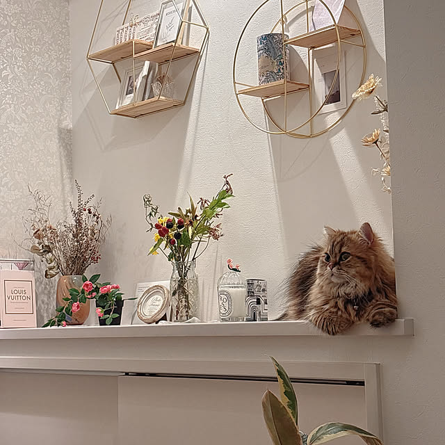 miyu39さんの部屋