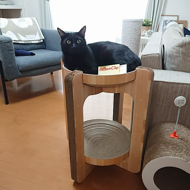 maikyさんの実例写真