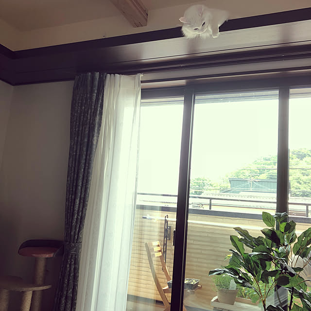 aKariさんの実例写真