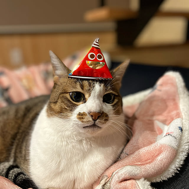 aobahahaさんの実例写真