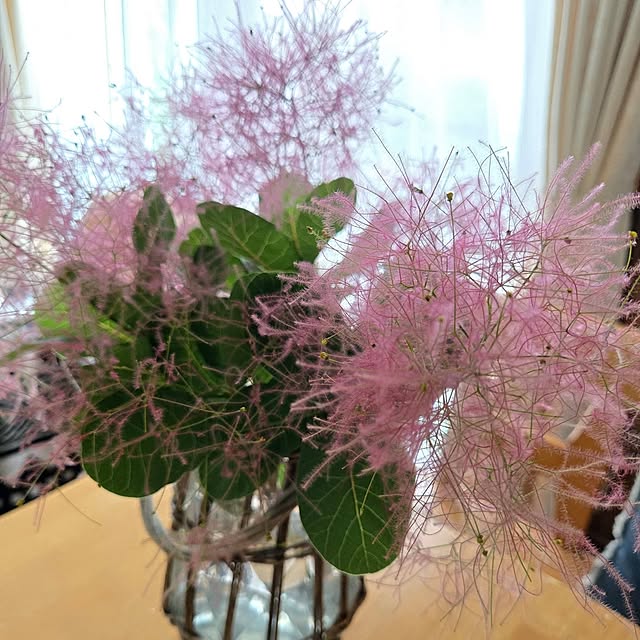 min_nimさんの部屋