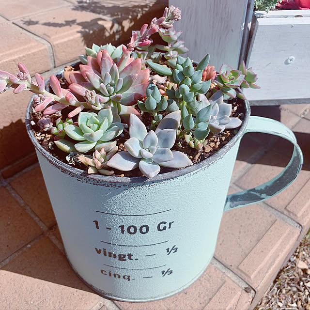 maymamさんの実例写真