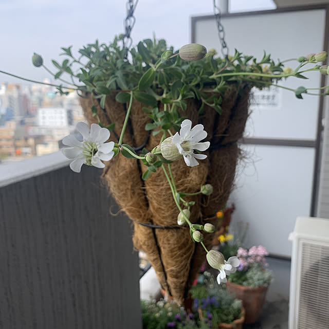 JUNさんの実例写真