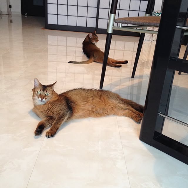 実例写真