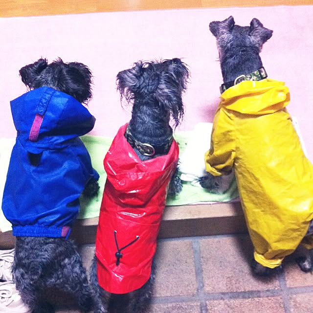 Shinichiさんの部屋