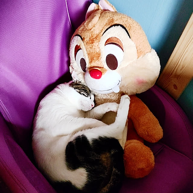 kirakirahikaruさんの実例写真