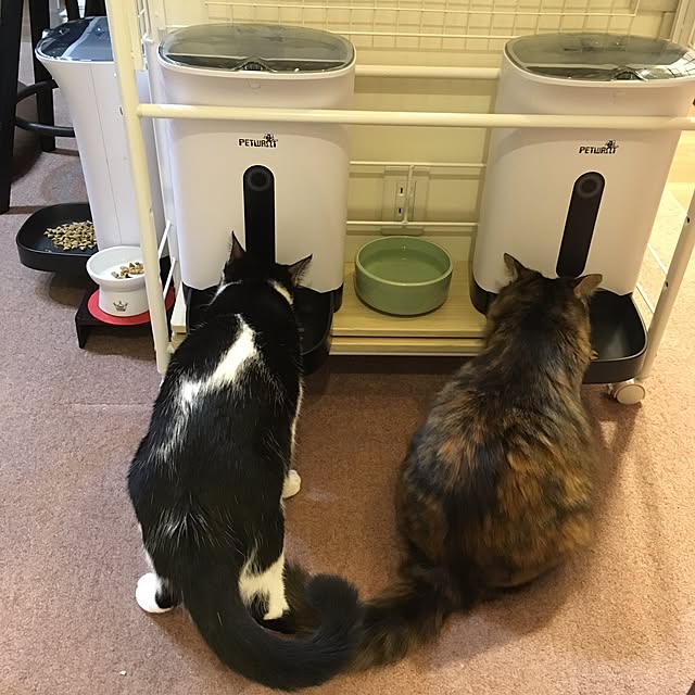 mikomaruさんの実例写真