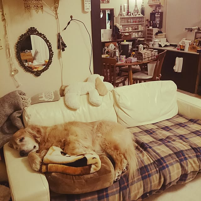 JUNMARIKAさんの実例写真