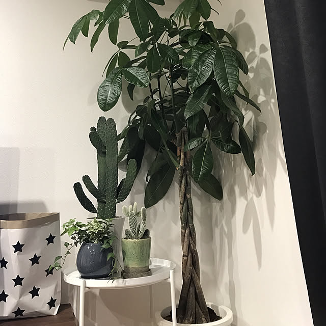 k.m.mamaさんの実例写真