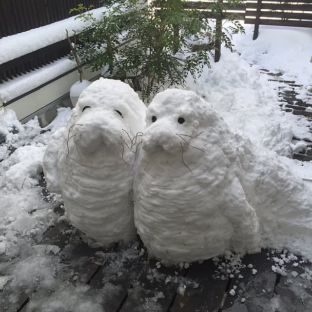 500cinquさんの実例写真