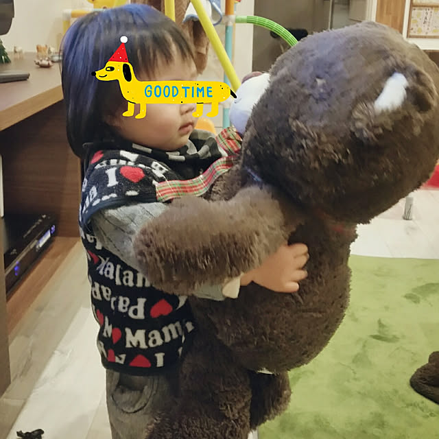 実例写真