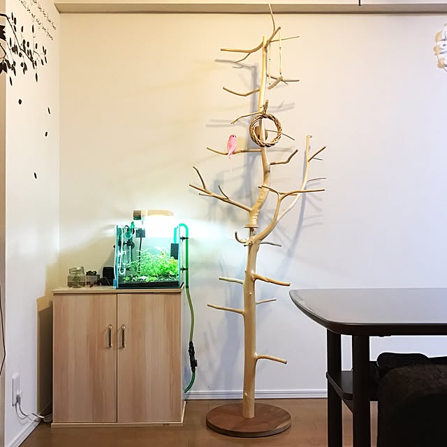Norikoさんの実例写真