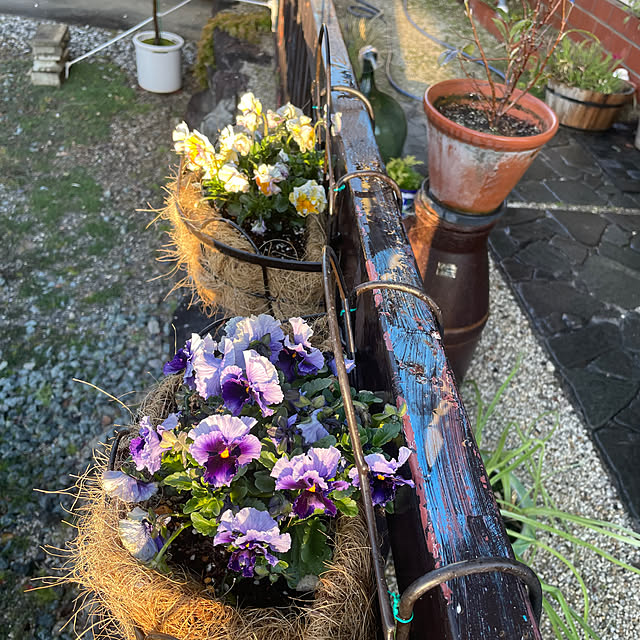 shin0719さんの部屋