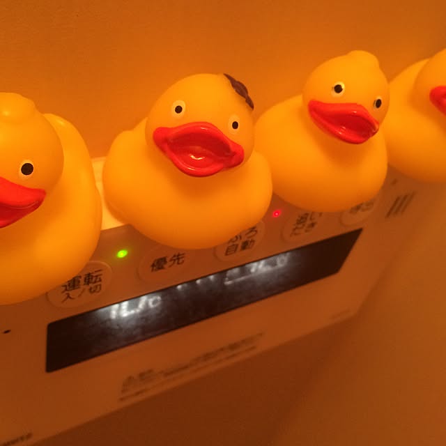 misshoneybunnyさんの実例写真