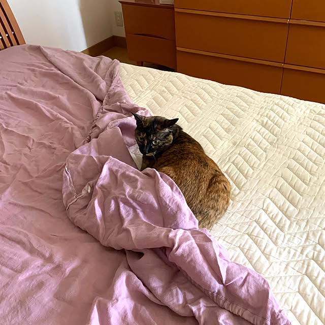 cocoさんの部屋